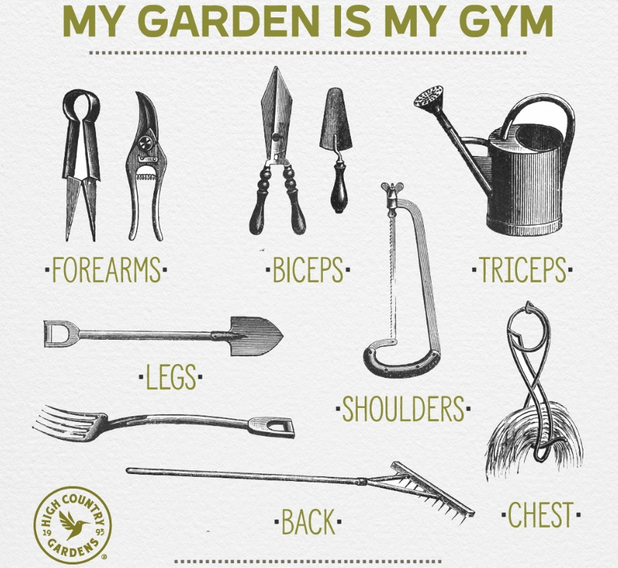 Image of gym exercises relating to gardening tools