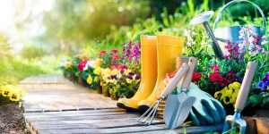 Image of gardening boots and tools outside next to flowers.