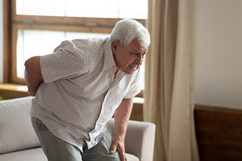 Osteoporosis for Older Adults