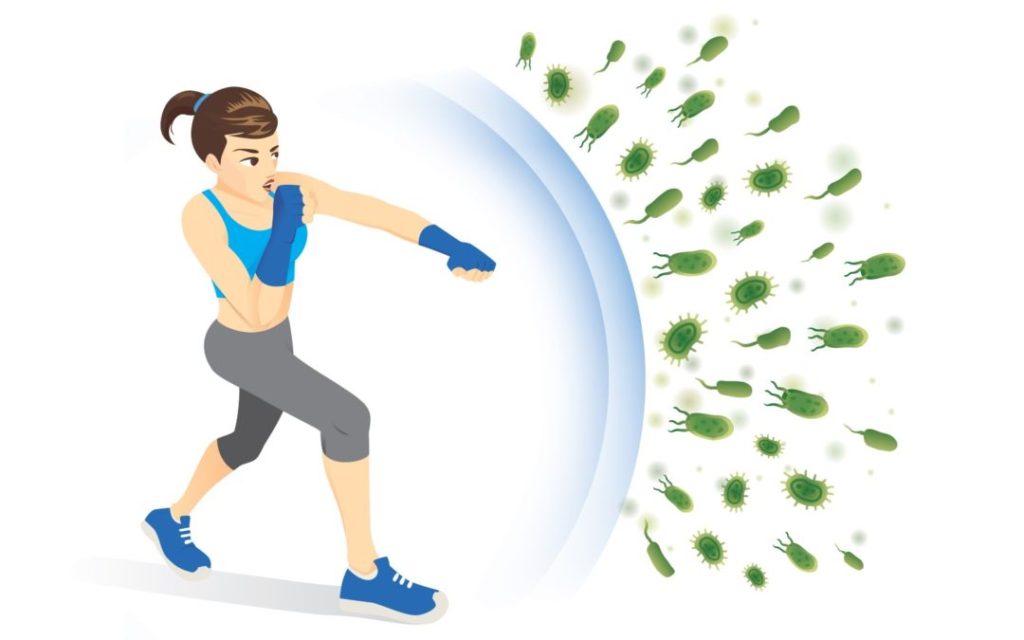 Protein helping immune health