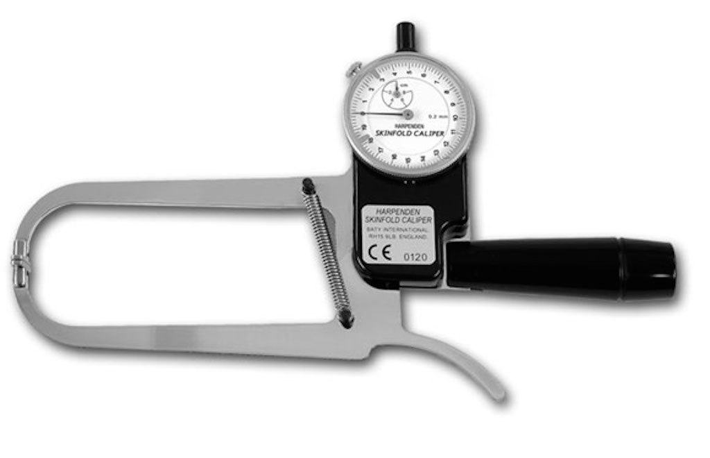 skinfold caliper body fat measurement